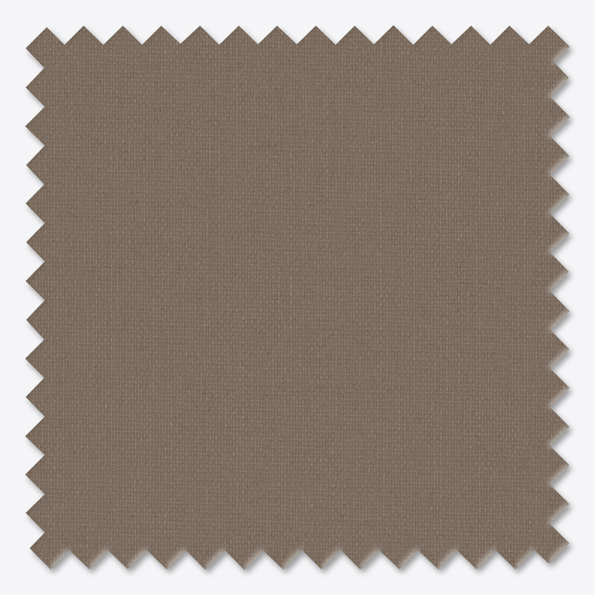 Rulouri GX VOGUE Bear Creek
