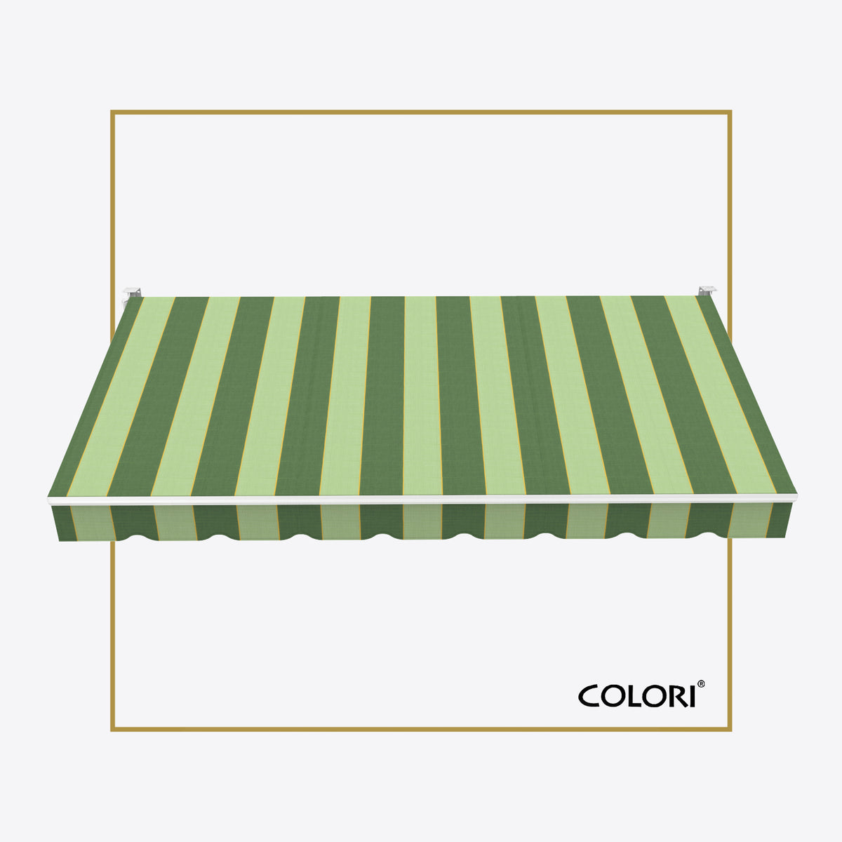 Copertină cu braț retractabil standard Green Oasis