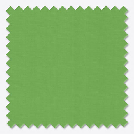 Copertină cu braț cădere clasic Parrot Green