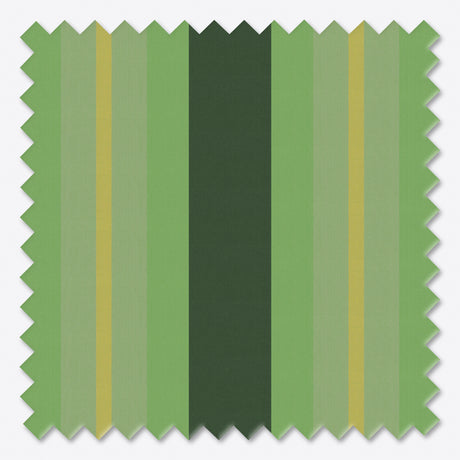 Marchiză cu brațe retractabile ECO Vivid Verde