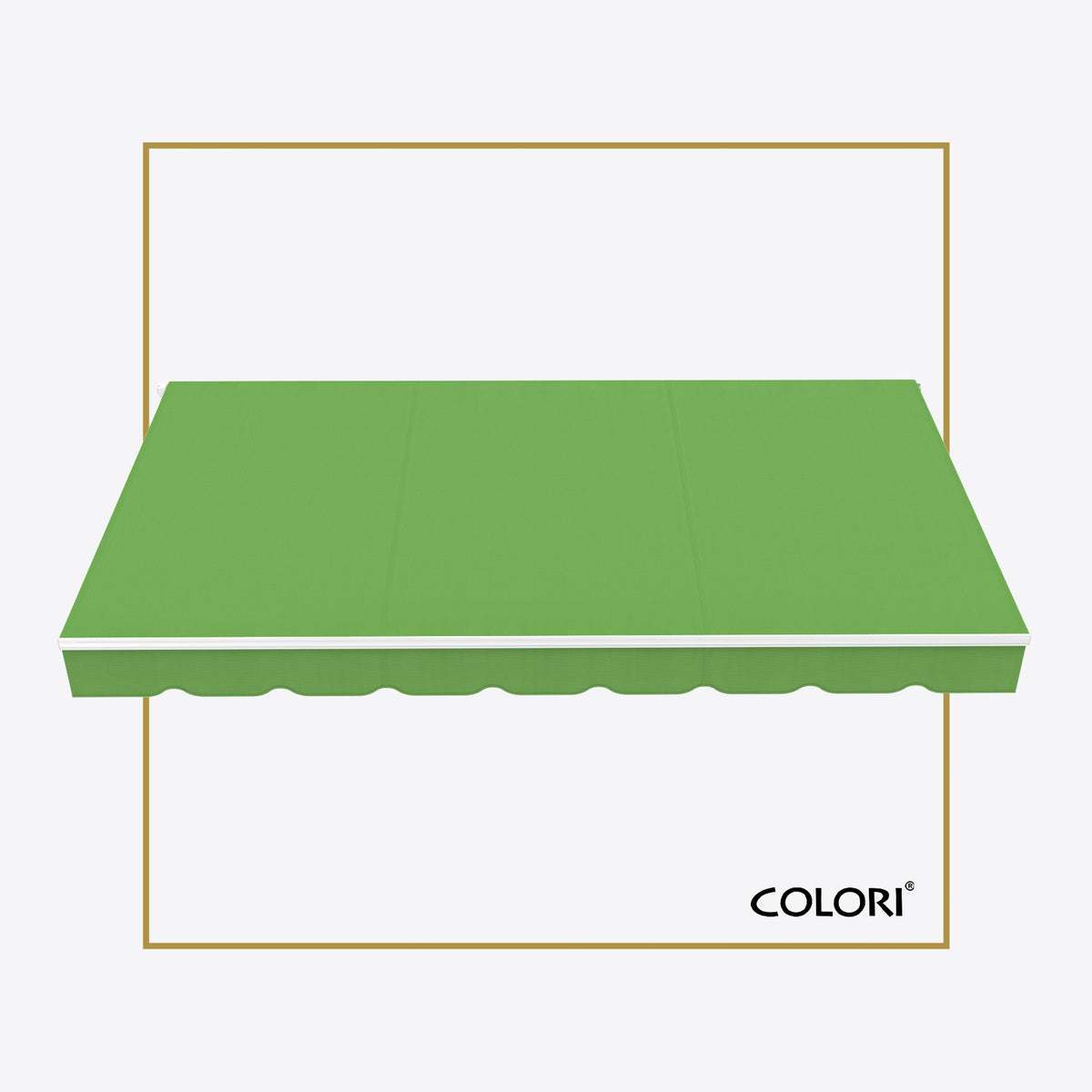 Copertină cu brațe articulate ECO Parrot Green