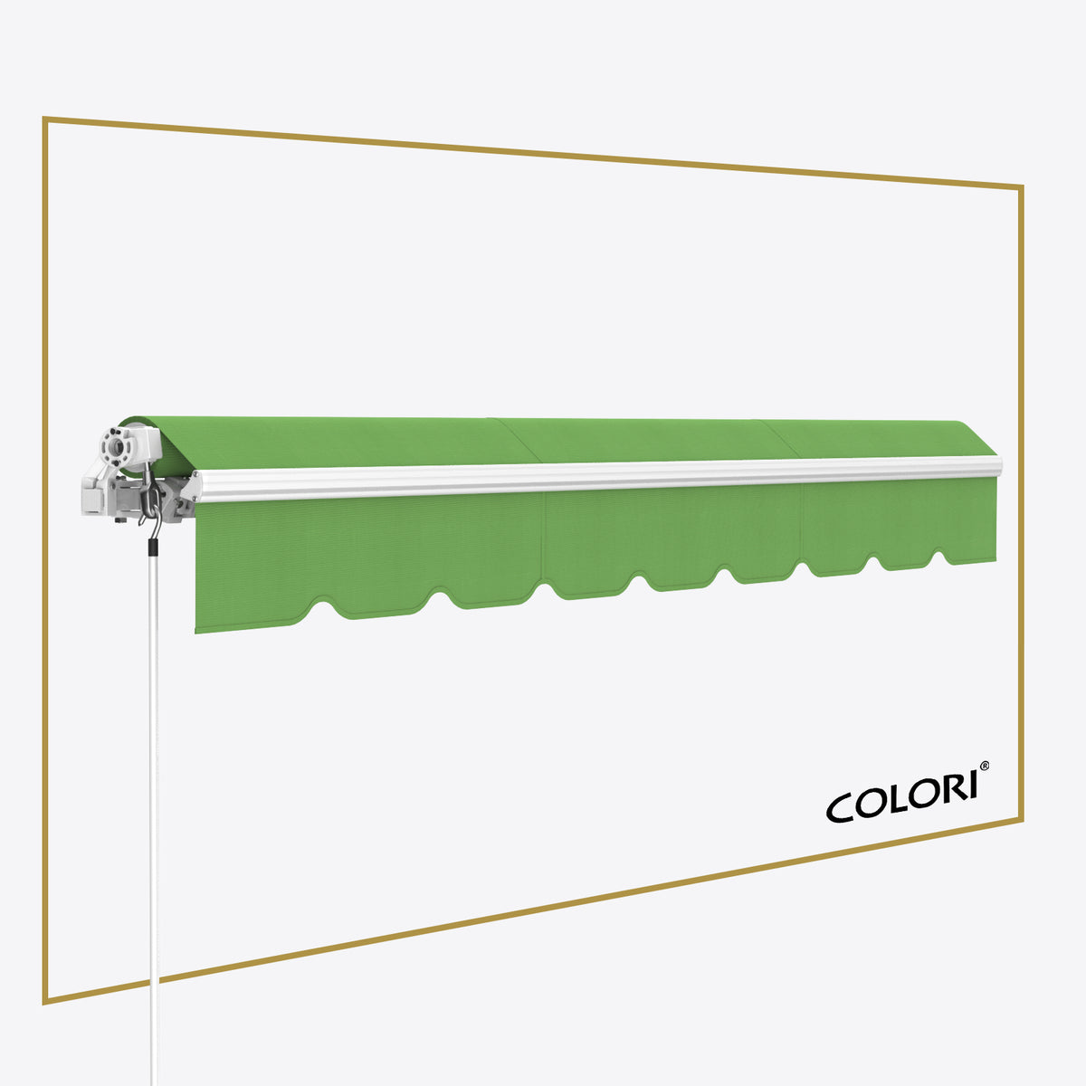 Copertină cu brațe articulate ECO Parrot Green