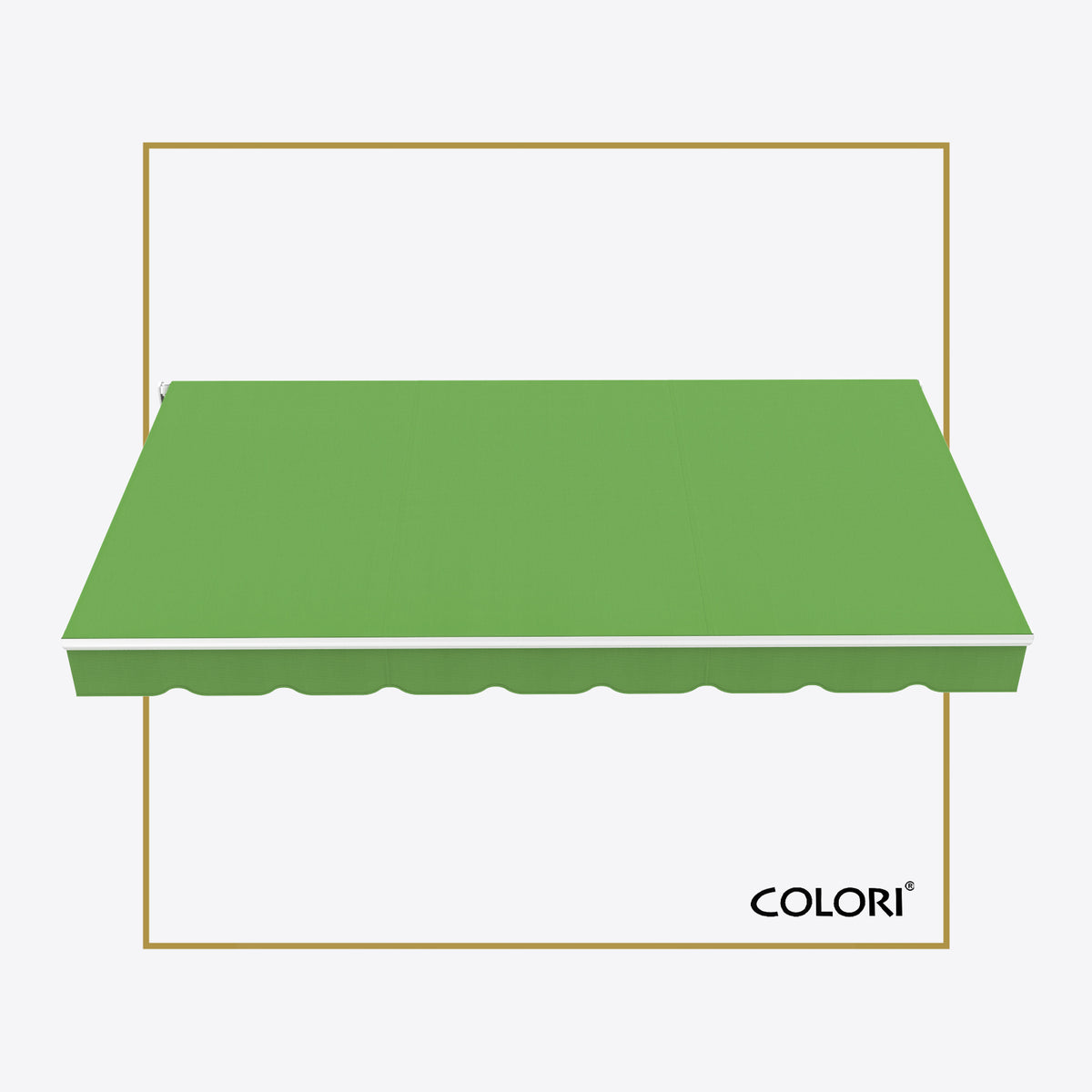 Copertină cu brațe articulate Mono Parrot Green