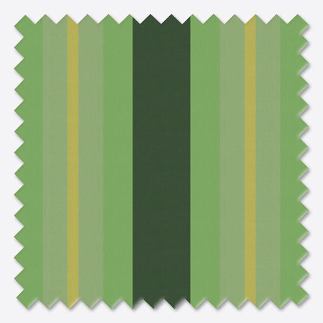 Copertină cu brațe articulate standard Vivid Verde