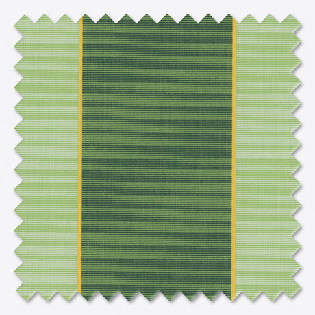 Copertină cu braț retractabil standard Green Oasis