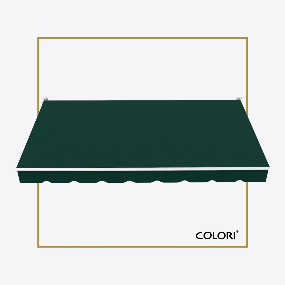Copertină cu brațe articulate standard Forest Green